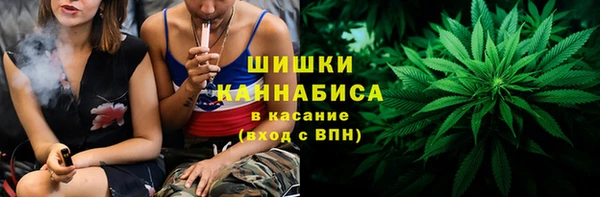 ALPHA PVP Иннополис