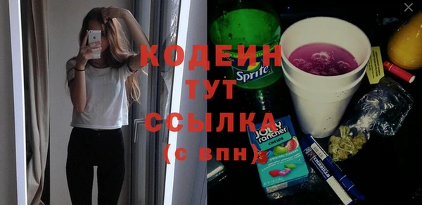 бошки Инта