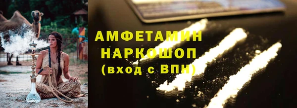 шишки Инсар