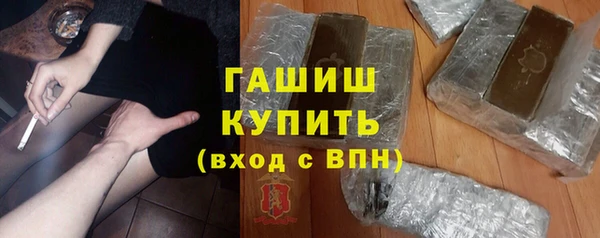 шишки Инсар