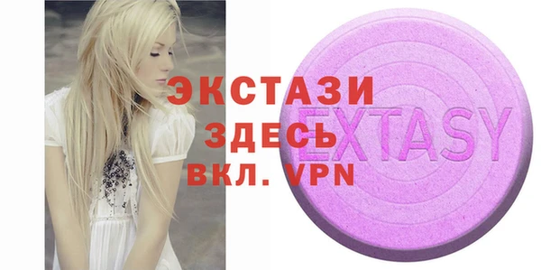 шишки Инсар