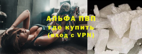шишки Инсар