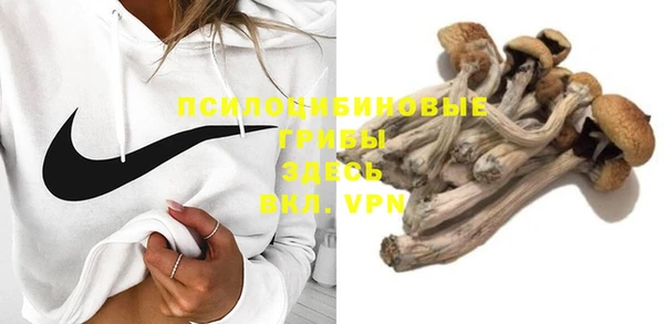 ALPHA PVP Иннополис