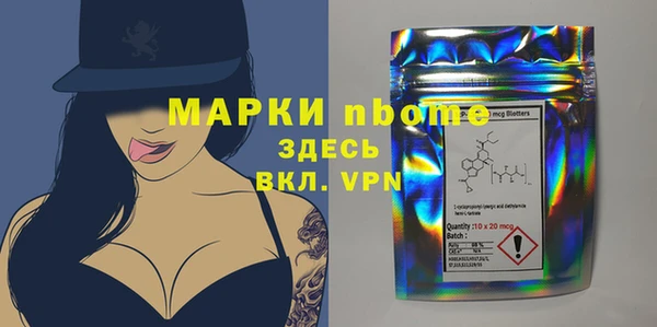 бошки Инта