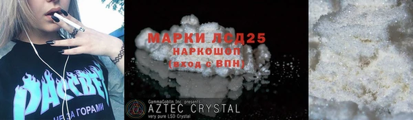 шишки Инсар