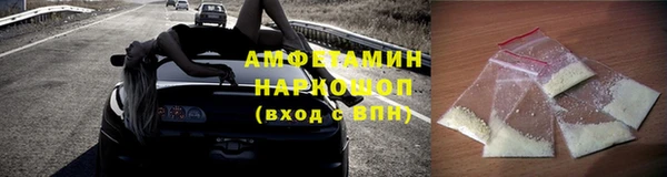 шишки Инсар