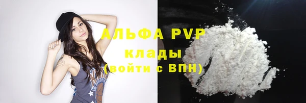 ALPHA PVP Иннополис
