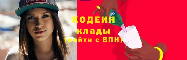 бошки Инта
