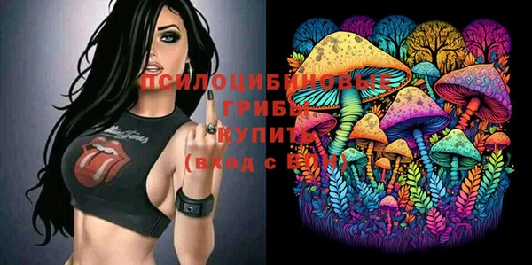 ALPHA PVP Иннополис