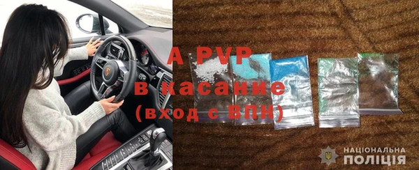 шишки Инсар