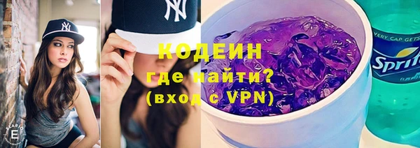 шишки Инсар