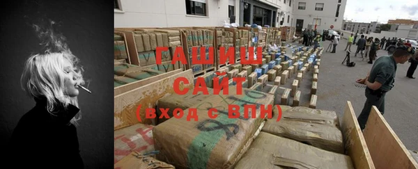 шишки Инсар