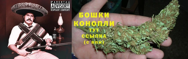 бошки Инта