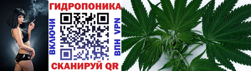 Марихуана планчик  Купить  Камышин 